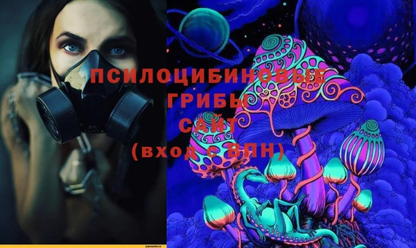 прущие грибы Алзамай