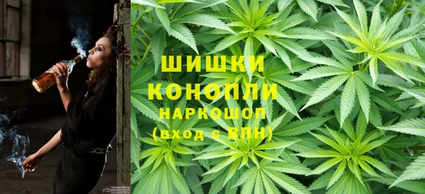 прущие грибы Алзамай