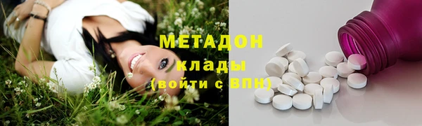 прущие грибы Алзамай