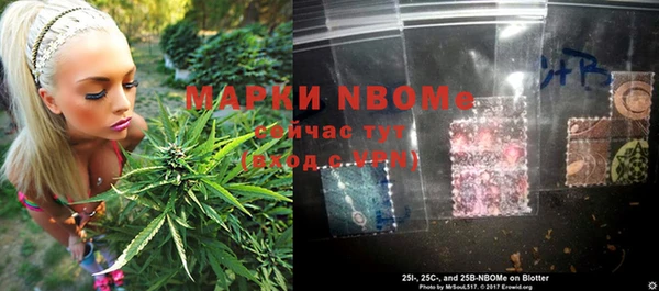 прущие грибы Алзамай