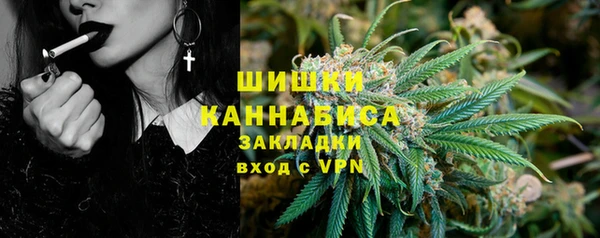 прущие грибы Алзамай